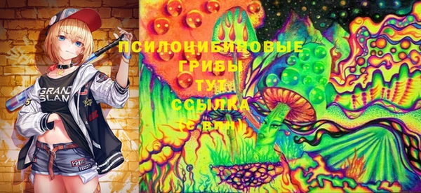 гидропоника Кукмор