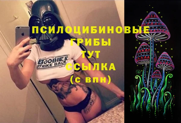 шишки Ладушкин