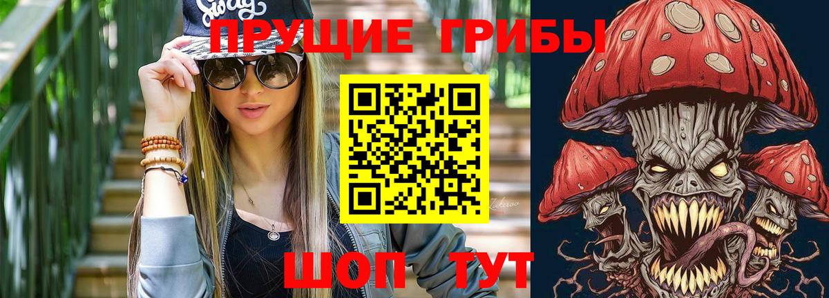 Галлюциногенные грибы Psilocybine cubensis Тайшет