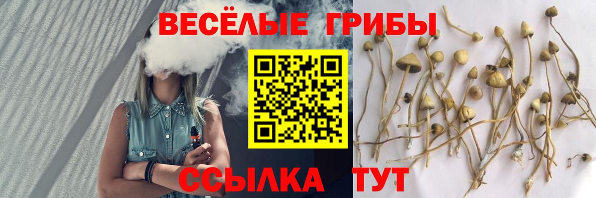Псилоцибиновые грибы мухоморы  Галлюциногенные грибы ЛСД  Тайшет  Вход с VPN 