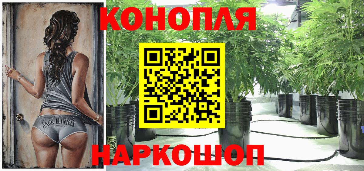 Марихуана OG Kush  Марихуана Amnesia  Каннабис Amnesia  Тайшет  Канабис план 